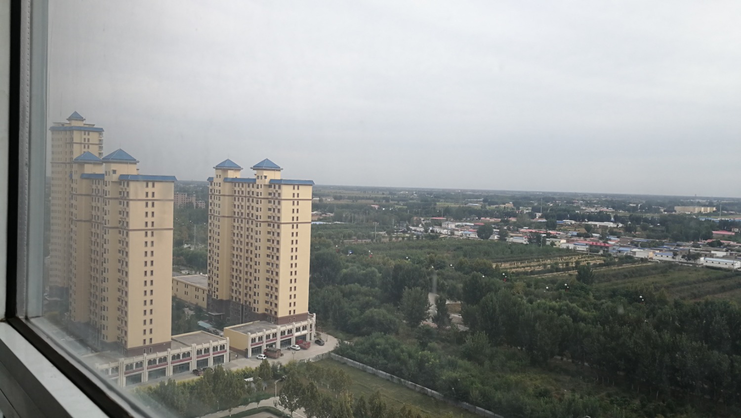 IMG_20201002_135511.jpg