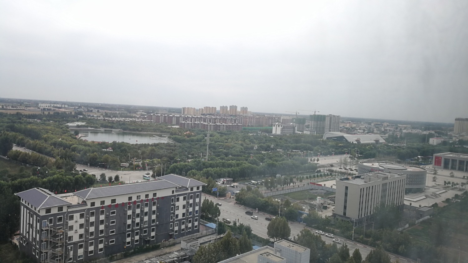 IMG_20201002_135521.jpg