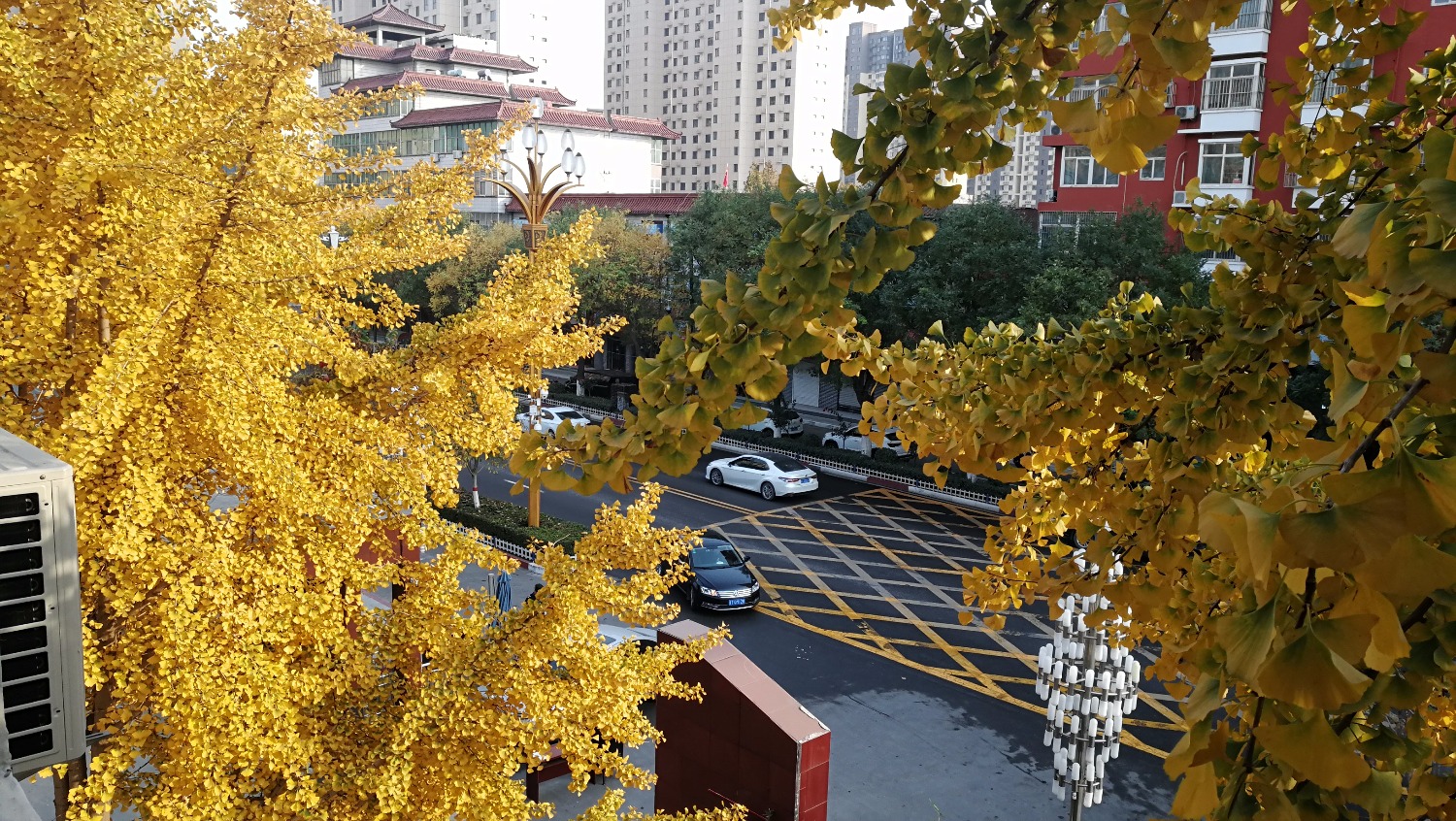 IMG_20201113_145934.jpg