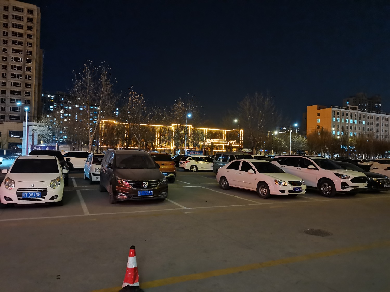 IMG_20201230_190324.jpg
