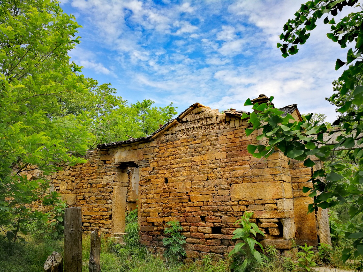 162119q3ed1h9ov00dduha.jpg
