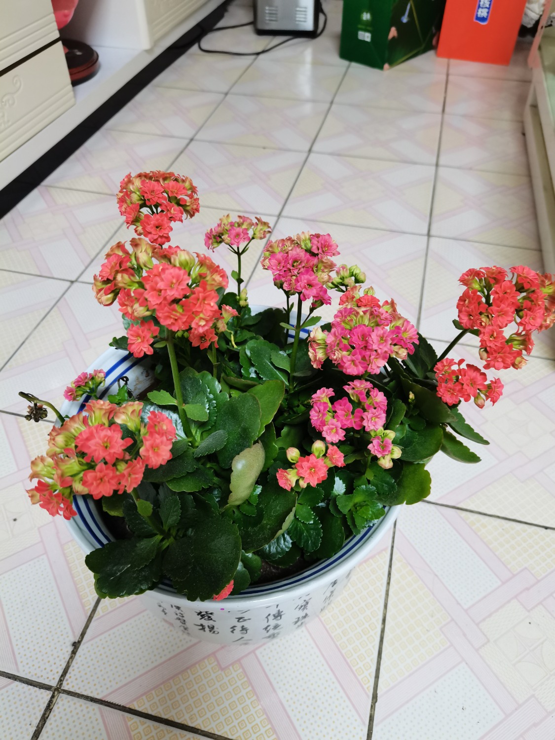 IMG_20210214_105147.jpg