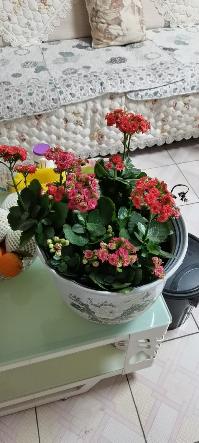 wx_camera_1613817656207.jpg