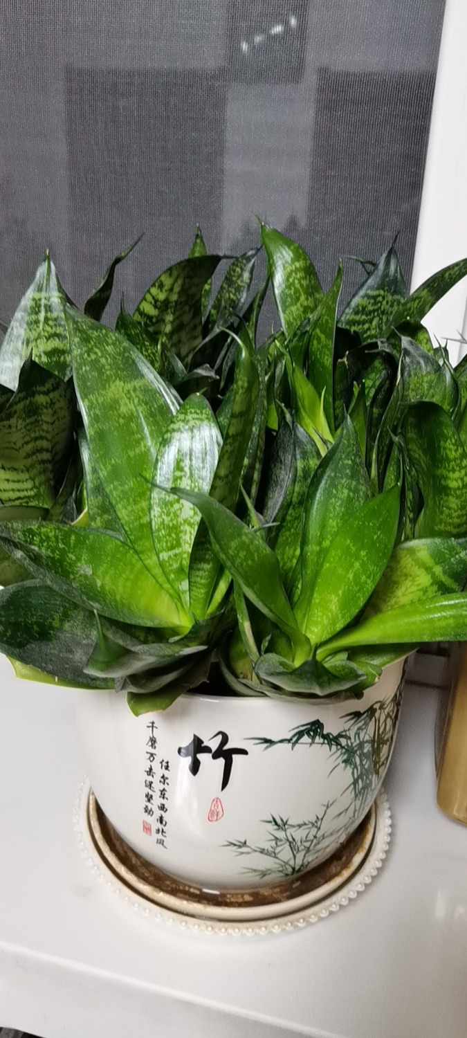 wx_camera_1613817656207.jpg