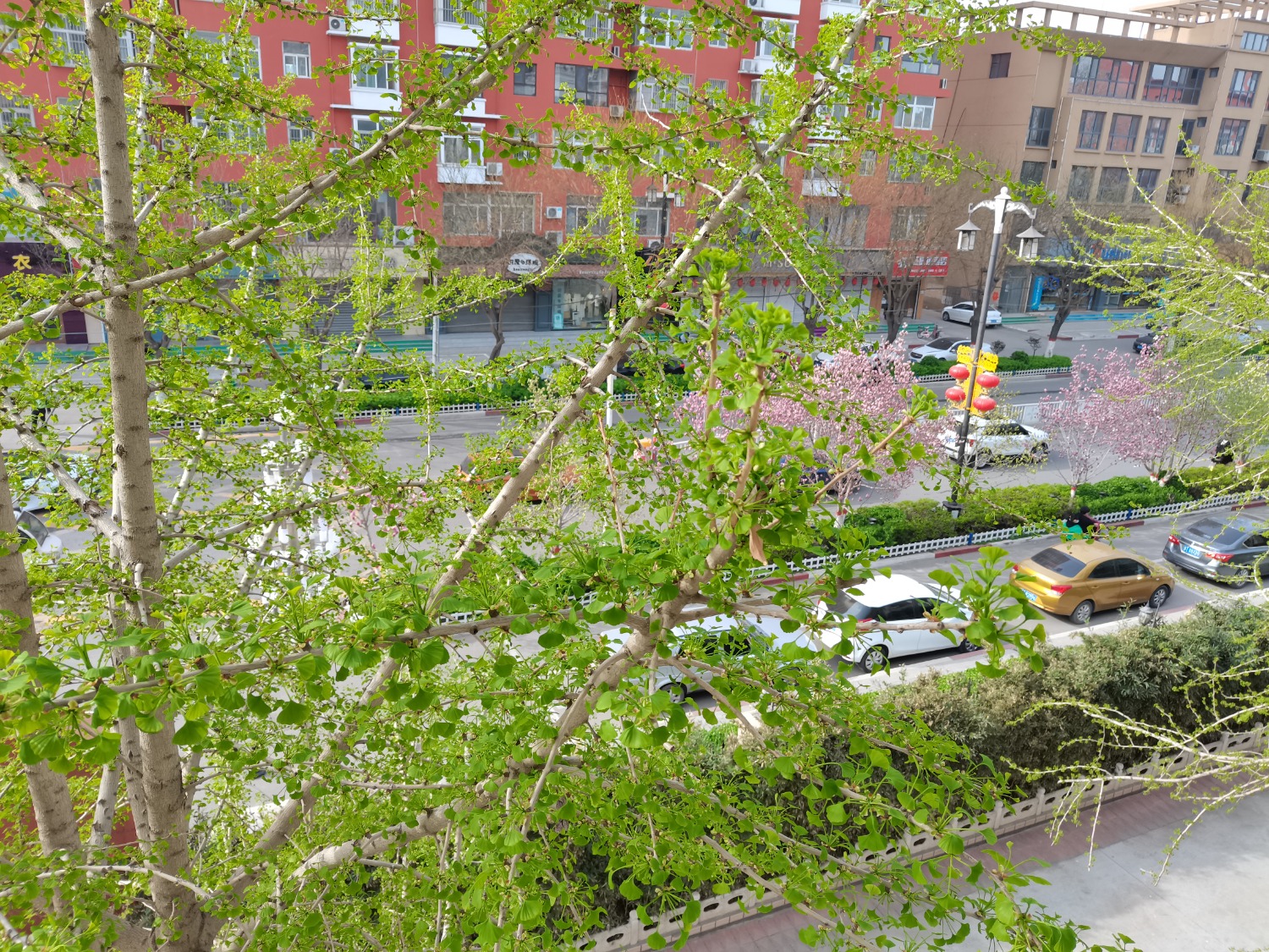 IMG_20210331_084359.jpg