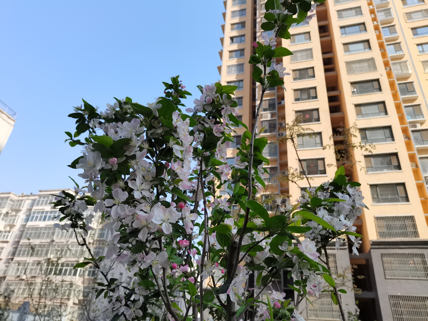 IMG_20210407_092554.jpg