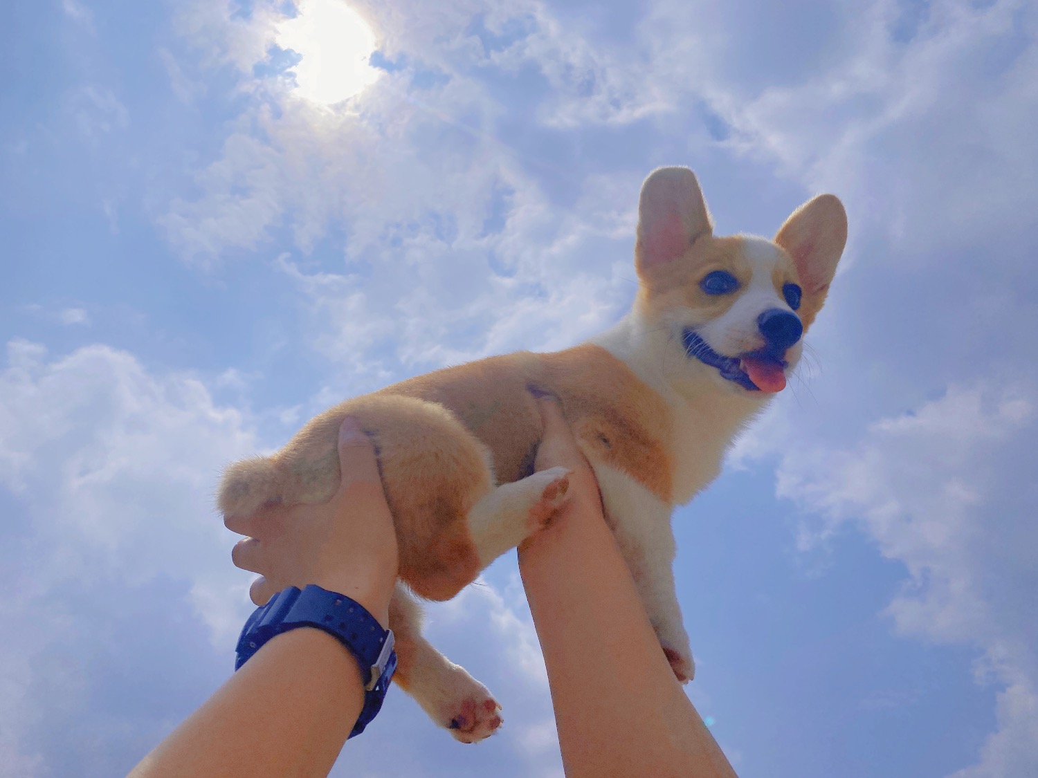 912917D8-630F-4E5A-AC3A-2D7C2B67808D.jpeg
