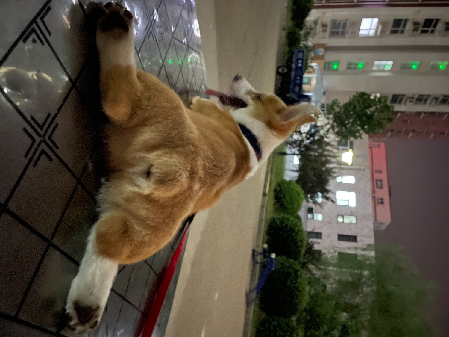 B8FB7BCD-707B-4775-AA8F-466272541A2D.jpeg