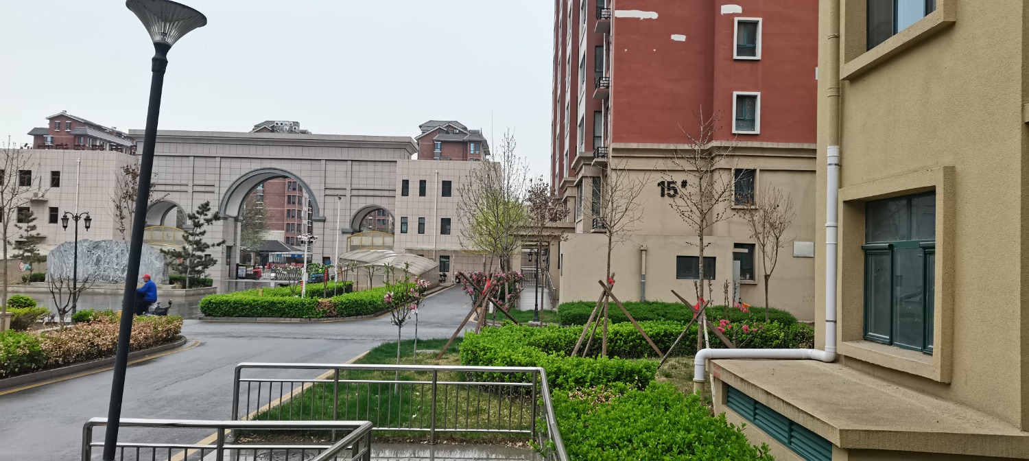 IMG_20240409_083728.jpg