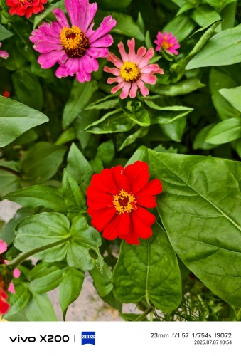 IMG_20250707_105409.jpg